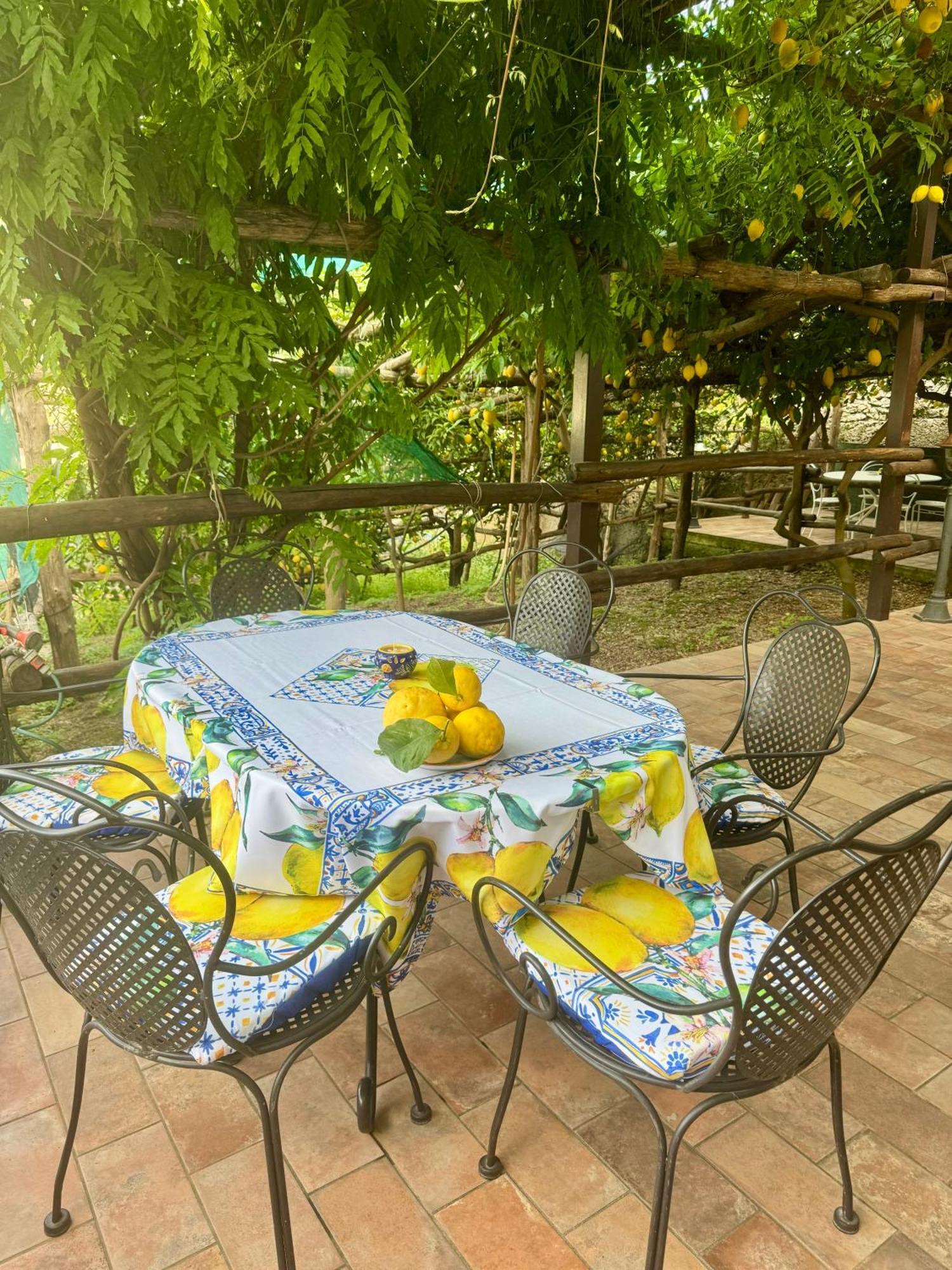 Il Limoneto Di Teresa Amalfi Coast Apartment Maiori Ngoại thất bức ảnh