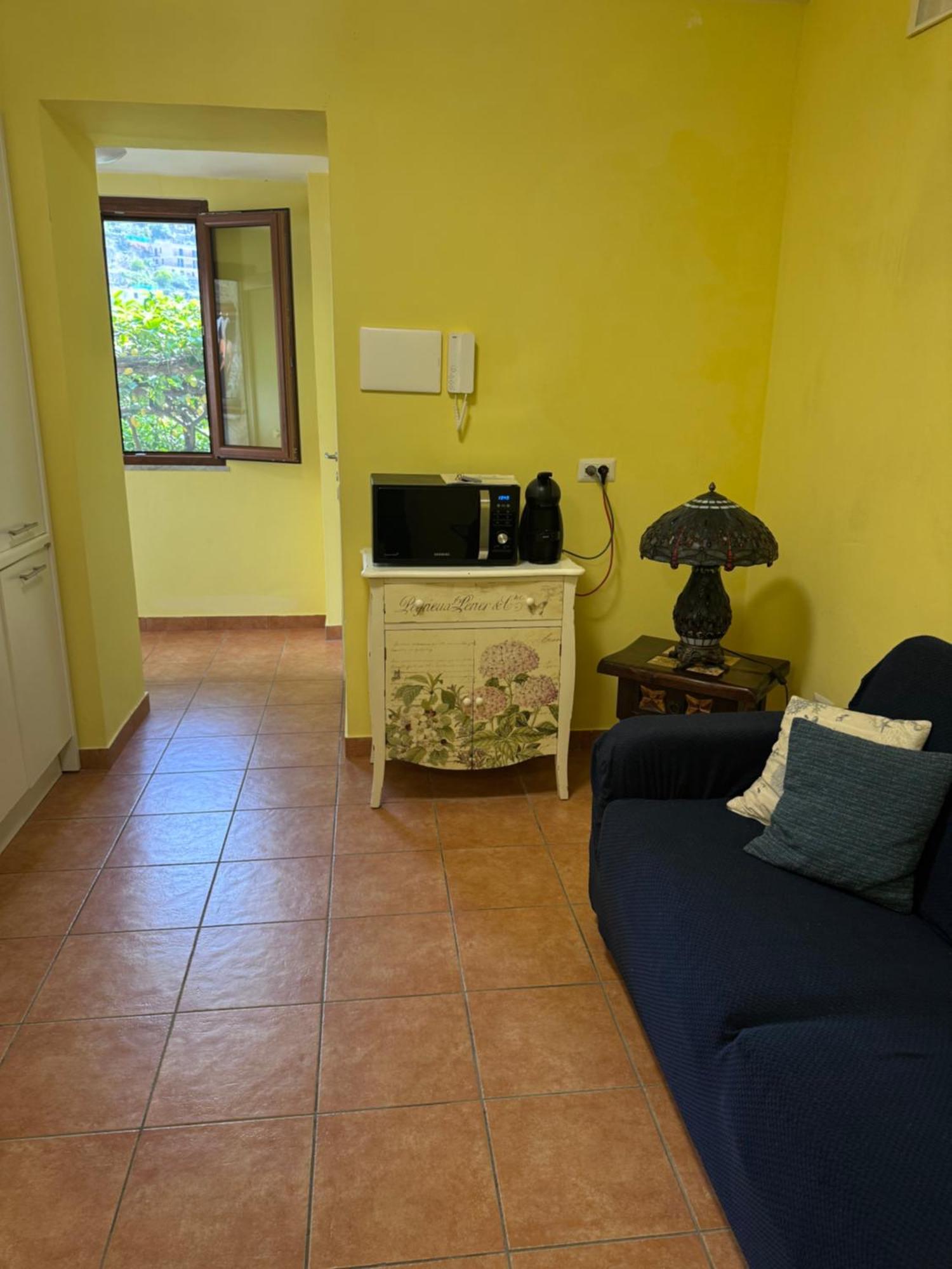 Il Limoneto Di Teresa Amalfi Coast Apartment Maiori Ngoại thất bức ảnh